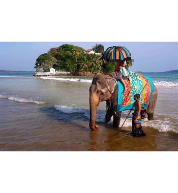 Прямой рейс в Гоа из Ташкента!